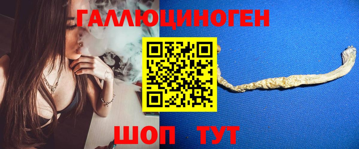 Псилоцибиновые грибы Psilocybine cubensis Обь