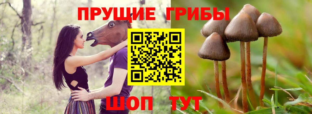 Псилоцибиновые грибы ЛСД  Псилоцибиновые грибы GOLDEN TEACHER  Обь  Вход с VPN 